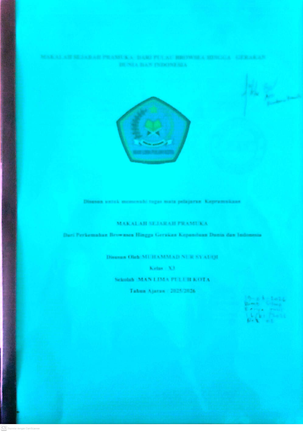 Makalah Sejarah Pramuka Dari Pulau Browsea Hingga Gerakan  Dunia Dan Indonesia